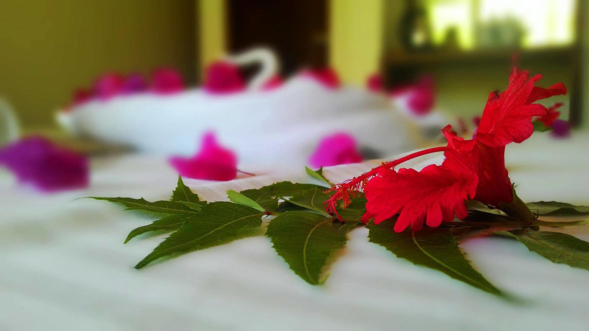 Sole Luna Resort & Spa Tangalle Exterior photo